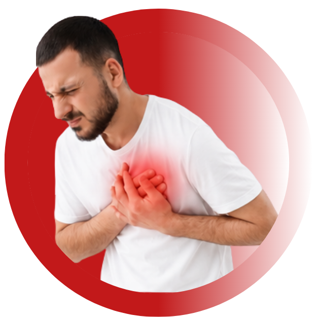 Heart