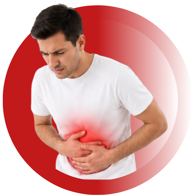 Liver